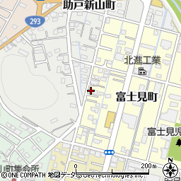 栃木県足利市富士見町102-3周辺の地図