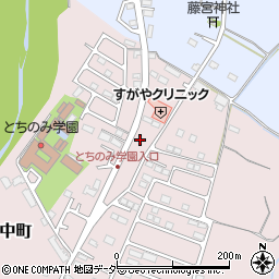 栃木県佐野市小中町1272周辺の地図