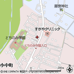 栃木県佐野市小中町1255-17周辺の地図