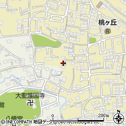 群馬県高崎市剣崎町333-9周辺の地図