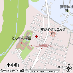 栃木県佐野市小中町1255-11周辺の地図