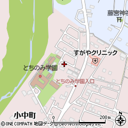 栃木県佐野市小中町1255-2周辺の地図