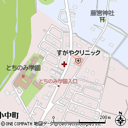 栃木県佐野市小中町1255-19周辺の地図