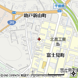 栃木県足利市富士見町98周辺の地図