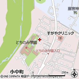 栃木県佐野市小中町1255-9周辺の地図