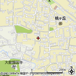 群馬県高崎市剣崎町344-9周辺の地図