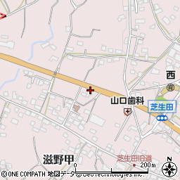 〒384-0046 長野県小諸市芝生田の地図
