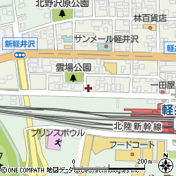 長野県北佐久郡軽井沢町軽井沢東224周辺の地図