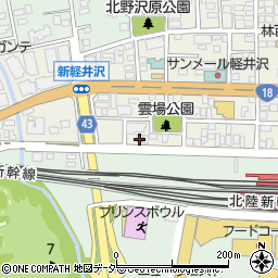 長野県北佐久郡軽井沢町軽井沢東232周辺の地図