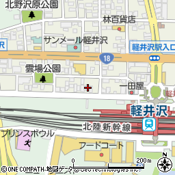 長野県北佐久郡軽井沢町軽井沢東213周辺の地図