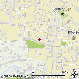 群馬県高崎市剣崎町466-24周辺の地図