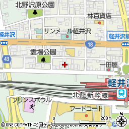 長野県北佐久郡軽井沢町軽井沢東218周辺の地図