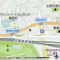 長野県北佐久郡軽井沢町軽井沢東265周辺の地図