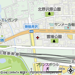 長野県北佐久郡軽井沢町軽井沢東250周辺の地図