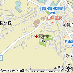 石川県加賀市片山津温泉丙周辺の地図