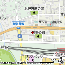 長野県北佐久郡軽井沢町軽井沢東256周辺の地図