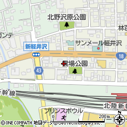 長野県北佐久郡軽井沢町軽井沢東256周辺の地図