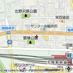 長野県北佐久郡軽井沢町軽井沢東188周辺の地図