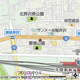 長野県北佐久郡軽井沢町軽井沢東184-1周辺の地図