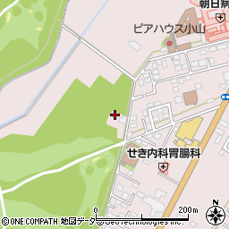 栃木県小山市喜沢894周辺の地図