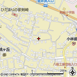 群馬県高崎市剣崎町798-9周辺の地図