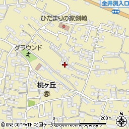 群馬県高崎市剣崎町779-3周辺の地図