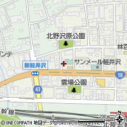 長野県北佐久郡軽井沢町軽井沢東156周辺の地図