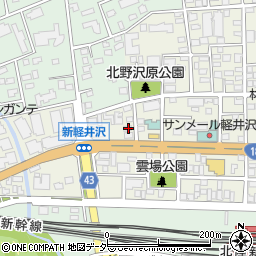 長野県北佐久郡軽井沢町軽井沢東144周辺の地図