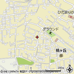 群馬県高崎市剣崎町438-16周辺の地図