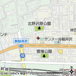 長野県北佐久郡軽井沢町軽井沢東153周辺の地図