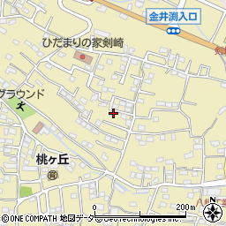 群馬県高崎市剣崎町770-30周辺の地図