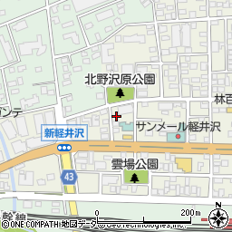 長野県北佐久郡軽井沢町軽井沢東152周辺の地図