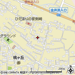 群馬県高崎市剣崎町770-22周辺の地図