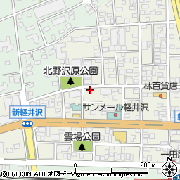 長野県北佐久郡軽井沢町軽井沢東175周辺の地図