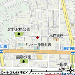 長野県北佐久郡軽井沢町軽井沢東171周辺の地図