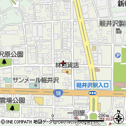 長野県北佐久郡軽井沢町軽井沢東14-4周辺の地図