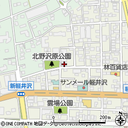 長野県北佐久郡軽井沢町軽井沢東112周辺の地図