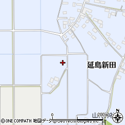 栃木県小山市延島新田314周辺の地図
