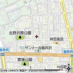 長野県北佐久郡軽井沢町軽井沢東99周辺の地図