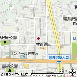 長野県北佐久郡軽井沢町軽井沢東14-9周辺の地図