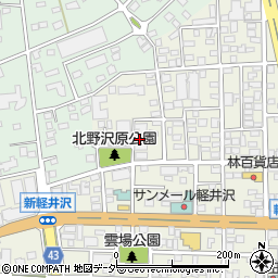 ライオンズヴィラ軽井沢弐番館周辺の地図