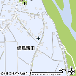 栃木県小山市延島新田602周辺の地図
