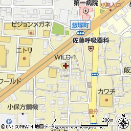 ワイルド・ワン高崎店周辺の地図