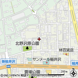 長野県北佐久郡軽井沢町軽井沢東108周辺の地図