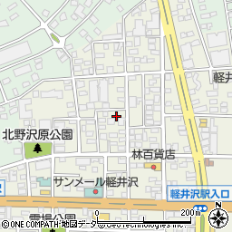 長野県北佐久郡軽井沢町軽井沢東86周辺の地図