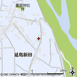 栃木県小山市延島新田592周辺の地図