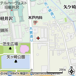 長野県北佐久郡軽井沢町軽井沢東43-14周辺の地図
