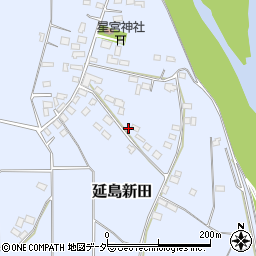 栃木県小山市延島新田598周辺の地図