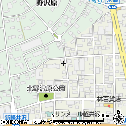 長野県北佐久郡軽井沢町軽井沢東123周辺の地図