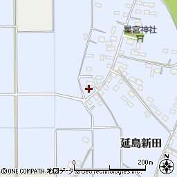 栃木県小山市延島新田150周辺の地図